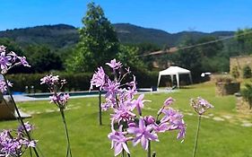Alba Morus Bed & Breakfast, Sentiti A Casa Nel Cuore Della Toscana